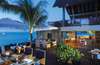 Royal Palm 